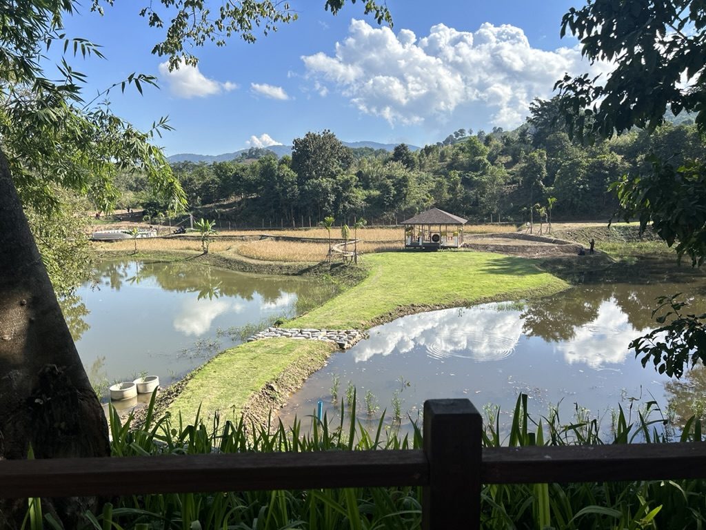 The ponds and walking paths through the camp