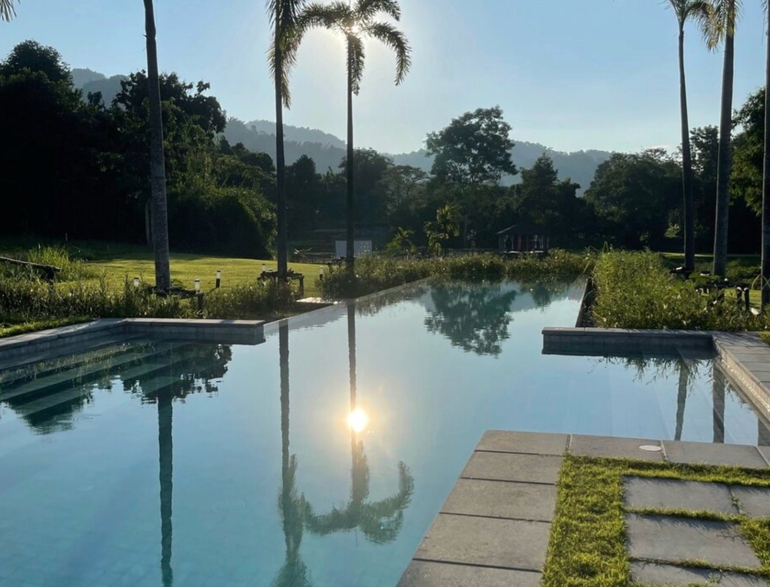 The pool beneath the palms with mountain views